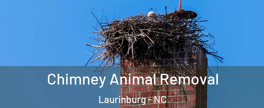 Chimney Animal Removal Laurinburg - NC