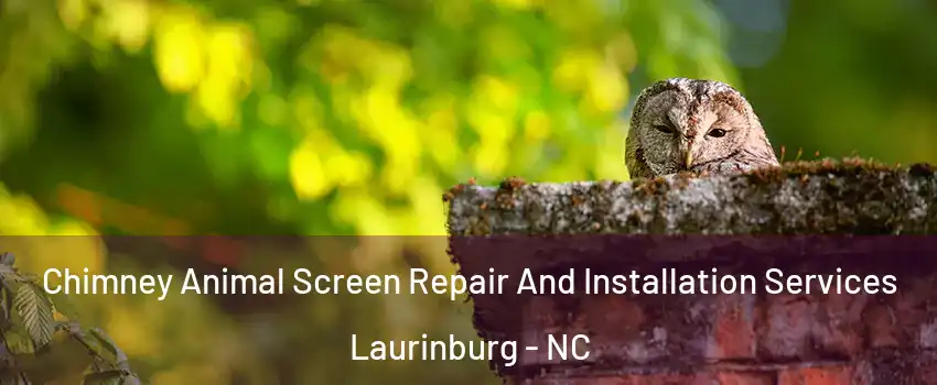 Chimney Animal Screen Repair And Installation Services Laurinburg - NC