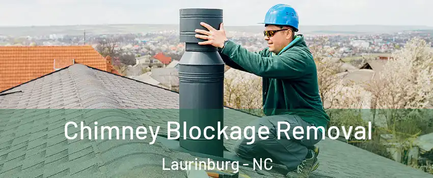 Chimney Blockage Removal Laurinburg - NC