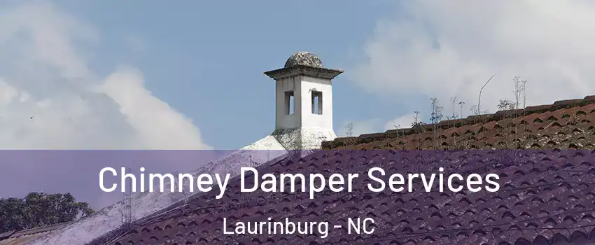 Chimney Damper Services Laurinburg - NC