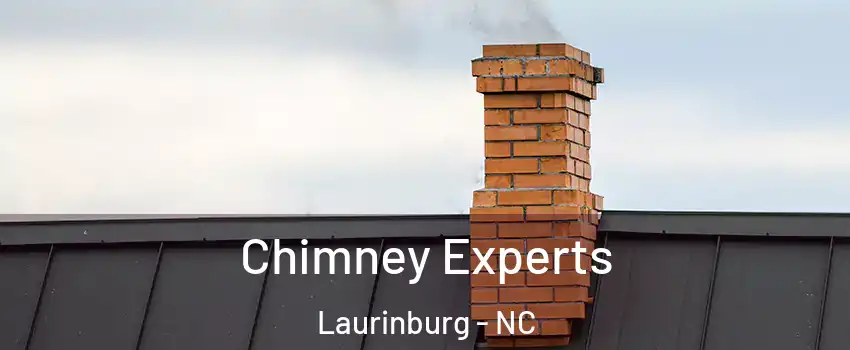 Chimney Experts Laurinburg - NC