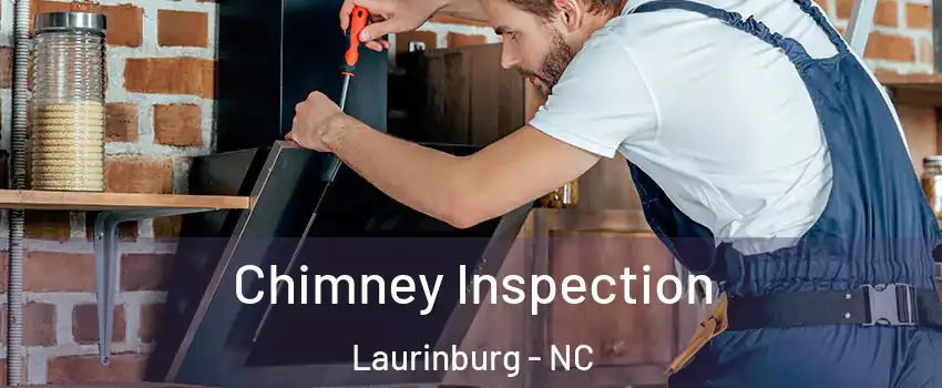 Chimney Inspection Laurinburg - NC