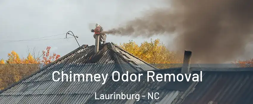 Chimney Odor Removal Laurinburg - NC
