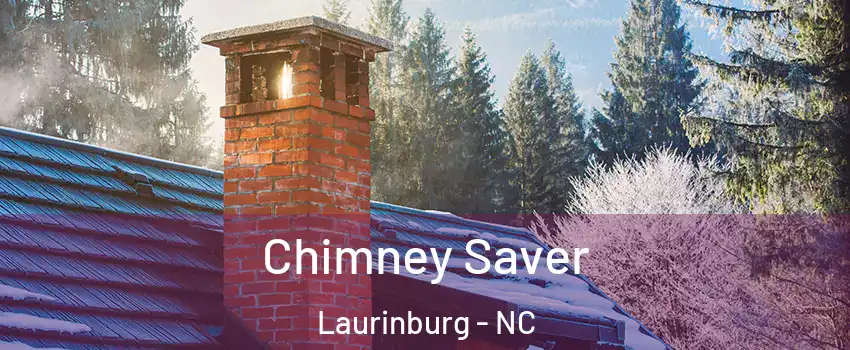 Chimney Saver Laurinburg - NC