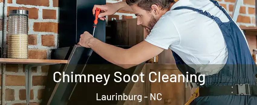 Chimney Soot Cleaning Laurinburg - NC
