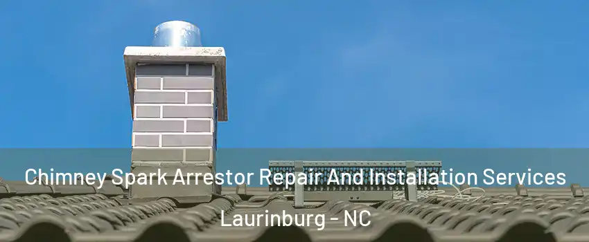 Chimney Spark Arrestor Repair And Installation Services Laurinburg - NC