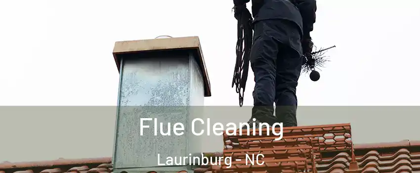 Flue Cleaning Laurinburg - NC