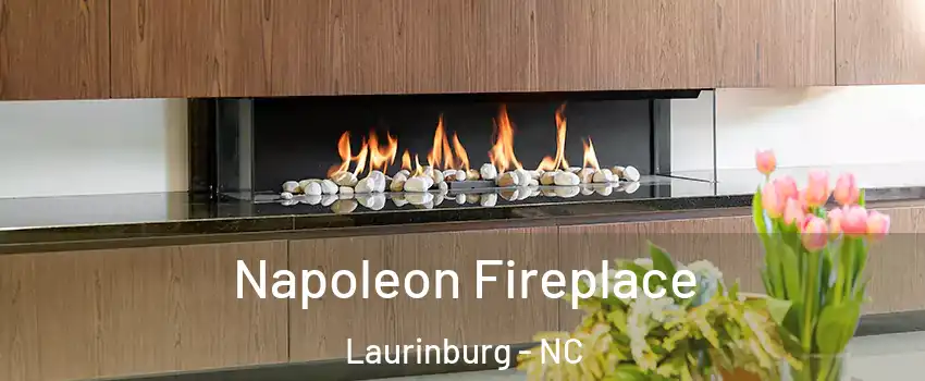 Napoleon Fireplace Laurinburg - NC